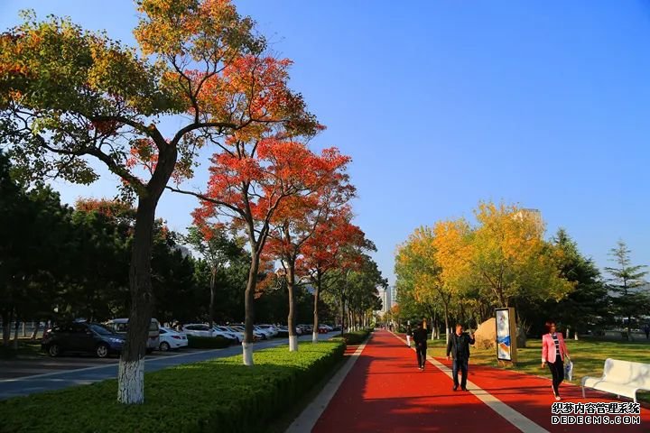 打造“精致城市”威海样板